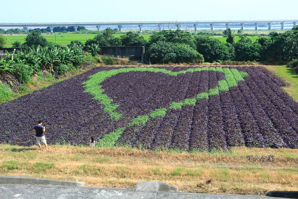 IG熱點,一日遊,伴手禮,免門票,新景點