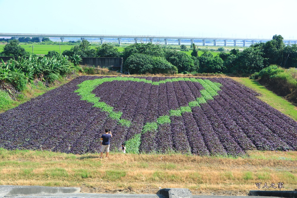 IG熱點,一日遊,伴手禮,免門票,新景點