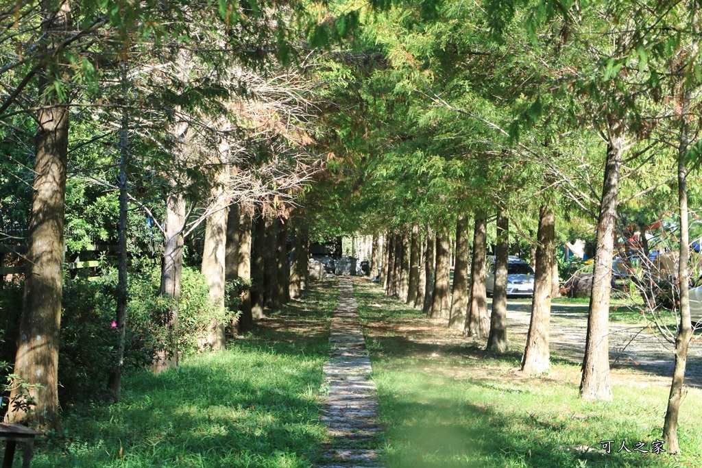 南投國姓露營區,沙八渡假村,沙八溫泉池,露營推薦,露營泡湯