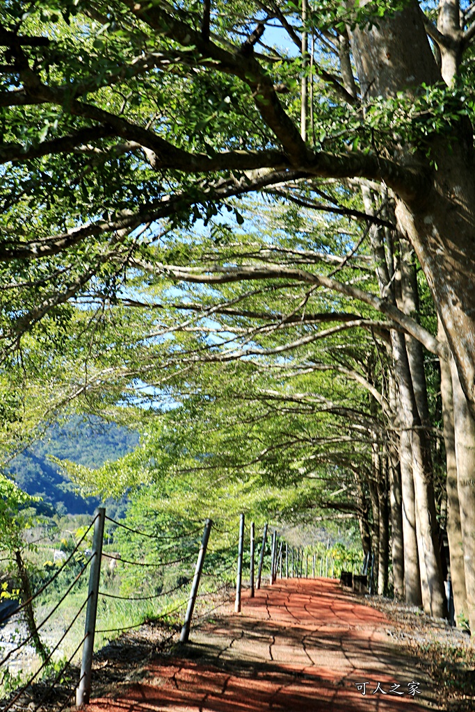 南投國姓露營區,沙八渡假村,沙八溫泉池,露營推薦,露營泡湯