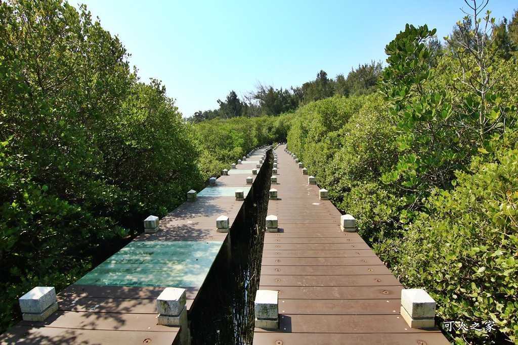 台南露營區、Vanaheim愛莊園（雙春濱海遊憩區）