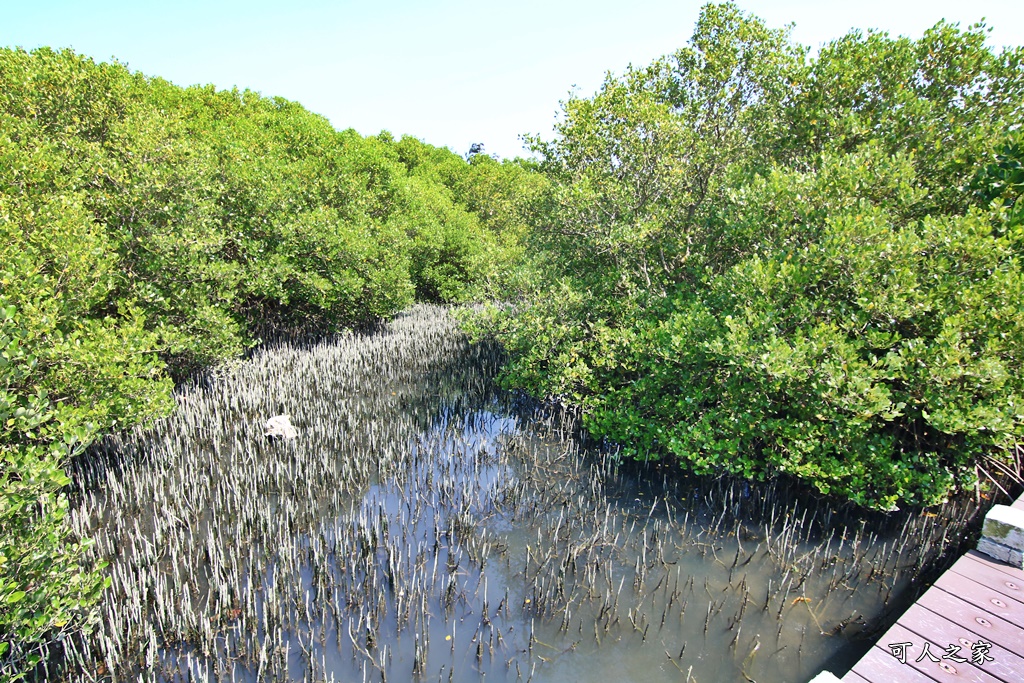 台南露營區、Vanaheim愛莊園（雙春濱海遊憩區）