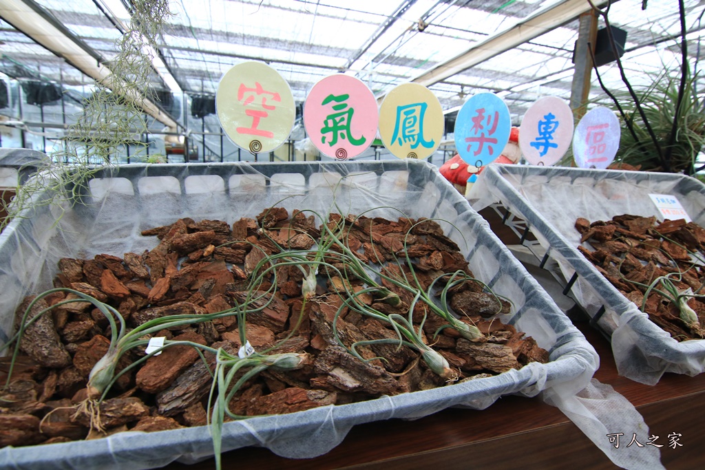 免費參觀,宜蘭下雨天去哪,宜蘭免門票景點,宜蘭室內景點,宜蘭親子遊,宜蘭賞花、下午茶、咖啡,宜蘭遊覽車景點,金車礁溪蘭花園