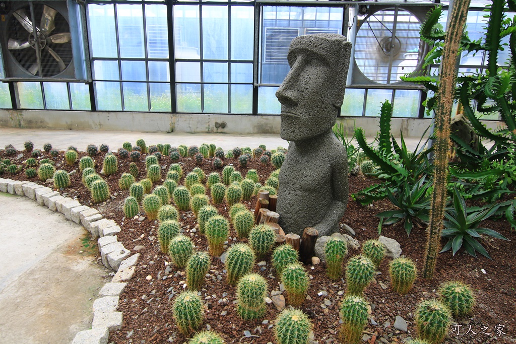 免費參觀,宜蘭下雨天去哪,宜蘭免門票景點,宜蘭室內景點,宜蘭親子遊,宜蘭賞花、下午茶、咖啡,宜蘭遊覽車景點,金車礁溪蘭花園