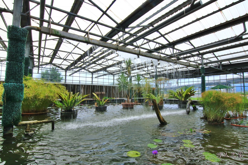 免費參觀,宜蘭下雨天去哪,宜蘭免門票景點,宜蘭室內景點,宜蘭親子遊,宜蘭賞花、下午茶、咖啡,宜蘭遊覽車景點,金車礁溪蘭花園