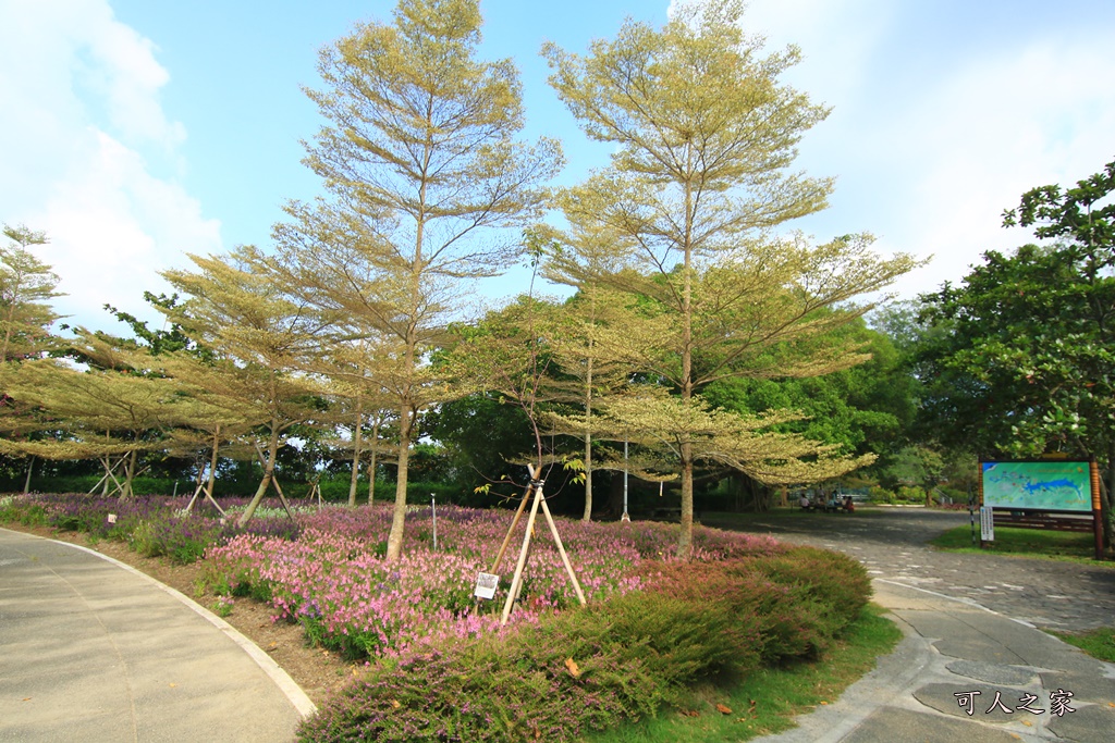 台南一日遊,台南市景點,旅遊景點一日遊,景觀台,曾文之眼,曾文水庫,溪畔遊樂區,生態趣味迷宮