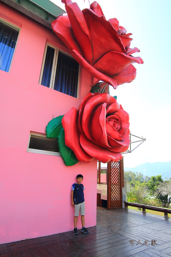 嘉義旅遊推薦,大埔旅遊資訊站,情人公園,曾文水庫