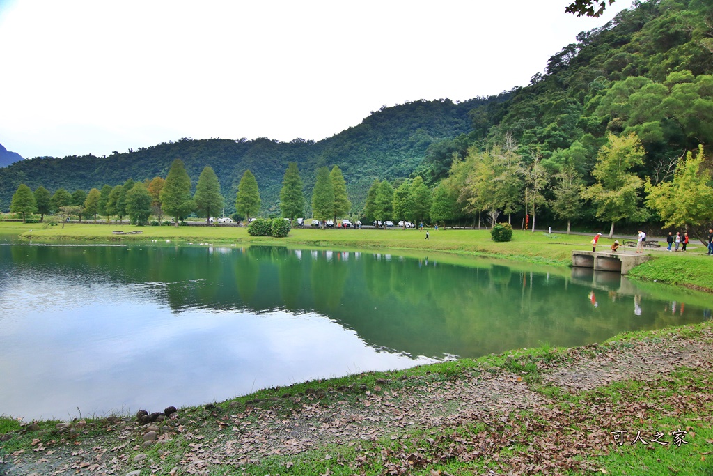 宜蘭員山落羽松,蜊埤湖福園落羽松秘境