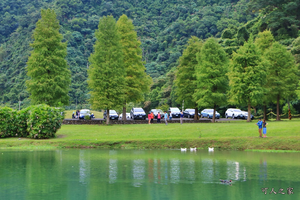 宜蘭員山落羽松,蜊埤湖福園落羽松秘境