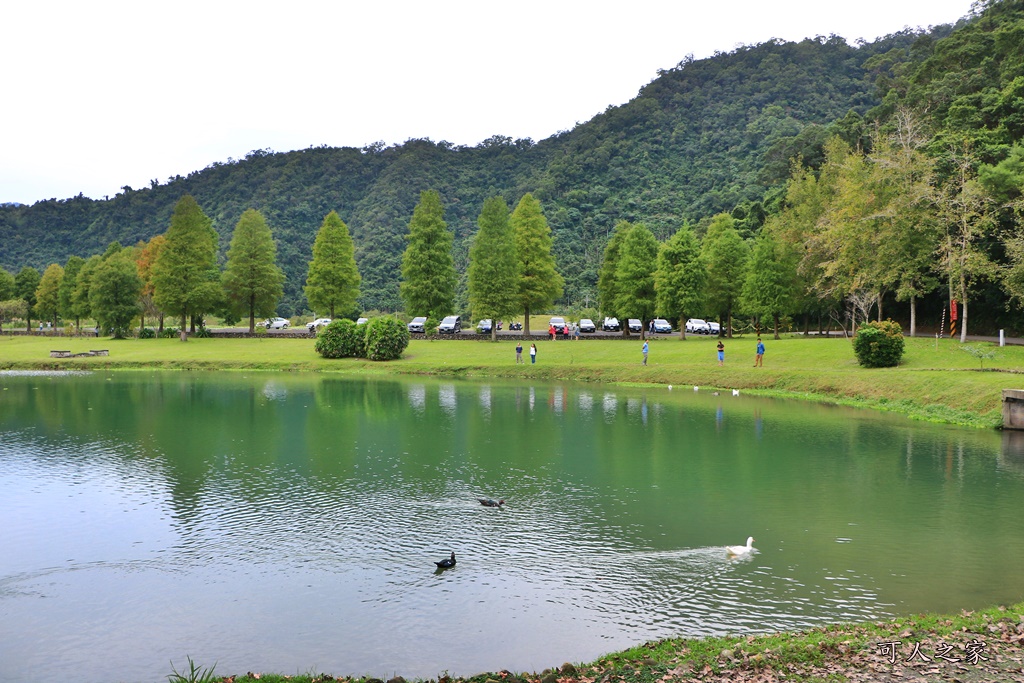 宜蘭員山落羽松,蜊埤湖福園落羽松秘境