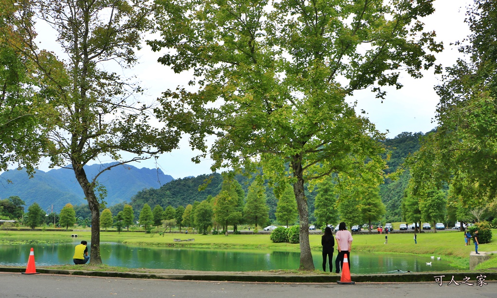 宜蘭員山落羽松,蜊埤湖福園落羽松秘境