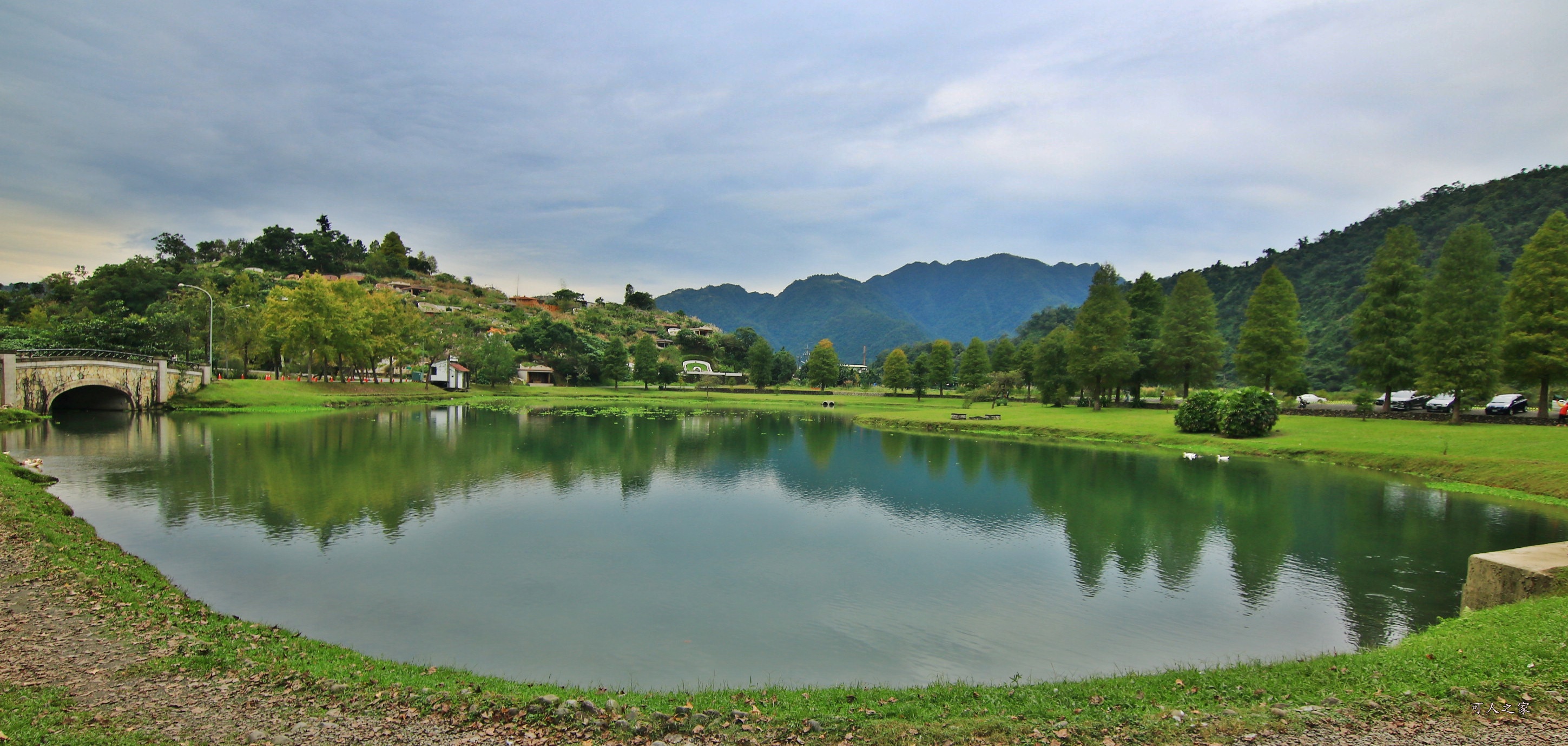 宜蘭員山落羽松,蜊埤湖福園落羽松秘境