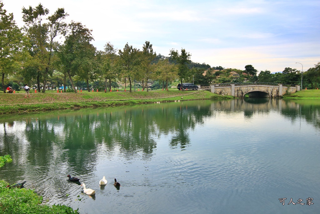 宜蘭員山落羽松,蜊埤湖福園落羽松秘境