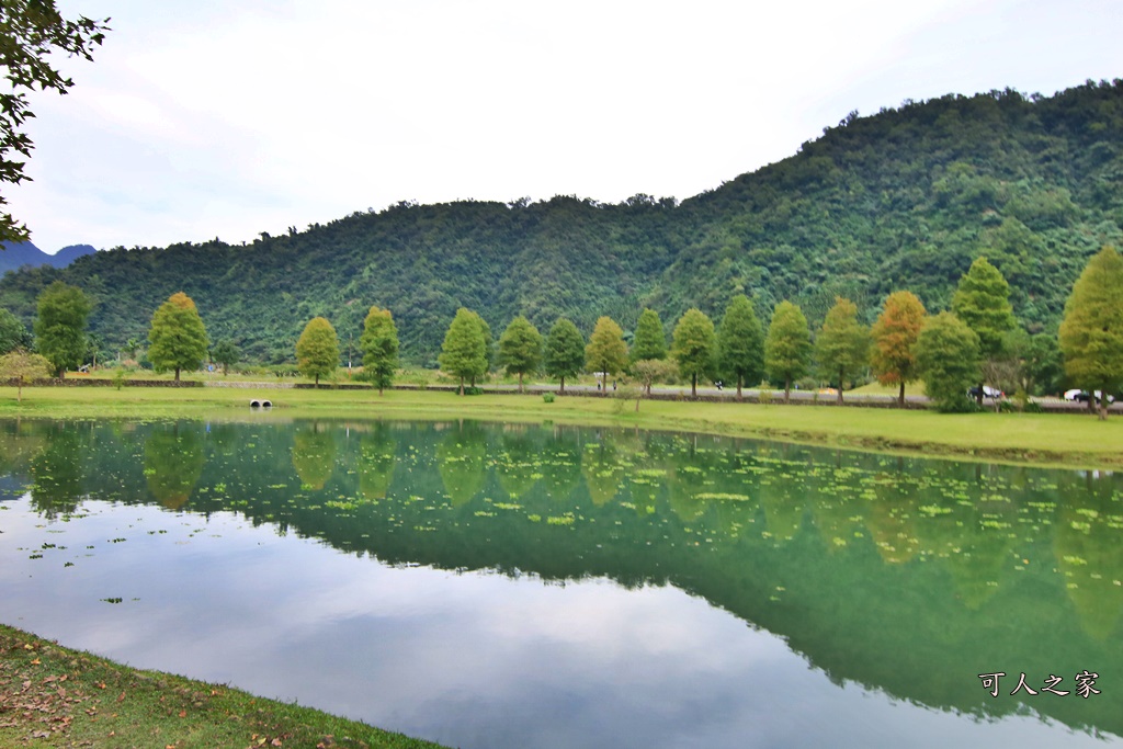 宜蘭員山落羽松,蜊埤湖福園落羽松秘境