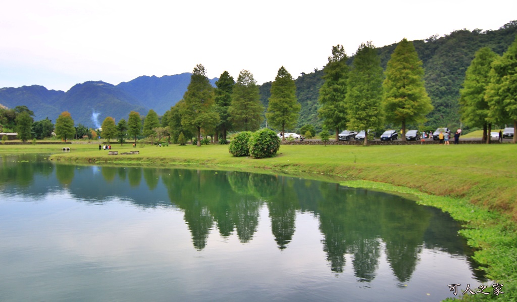 宜蘭員山落羽松,蜊埤湖福園落羽松秘境