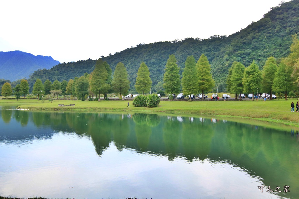 宜蘭員山落羽松,蜊埤湖福園落羽松秘境