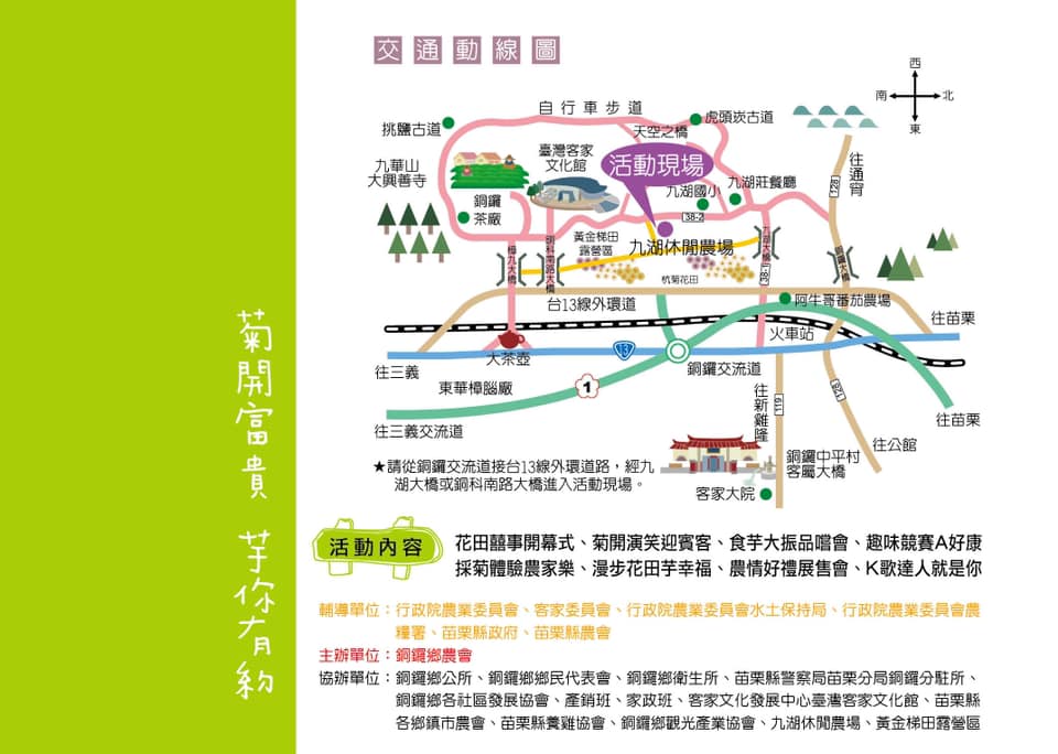 2019杭菊,九湖大橋,九湖村杭菊,九湖村杭菊搶先看,杭菊最新花況,花田囍事開幕式,苗栗一日遊,苗栗九湖,苗栗九湖芋頭節,賞杭菊順遊景點,銅鑼交流道,黃金梯田