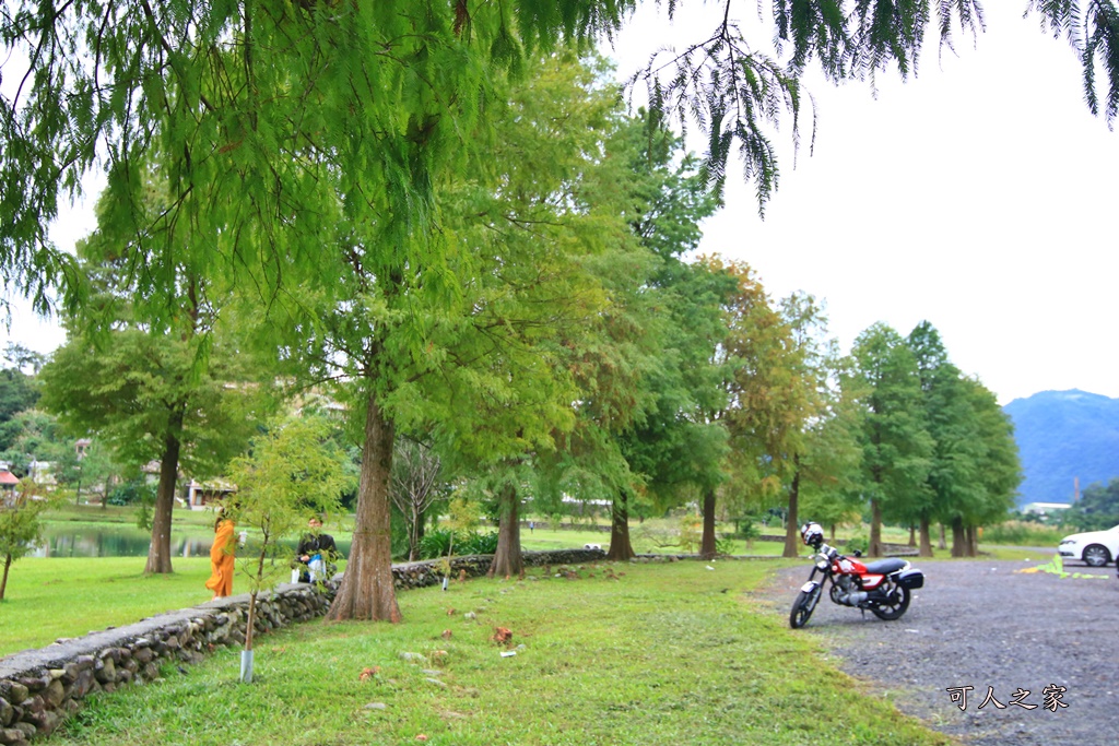 宜蘭員山落羽松,蜊埤湖福園落羽松秘境