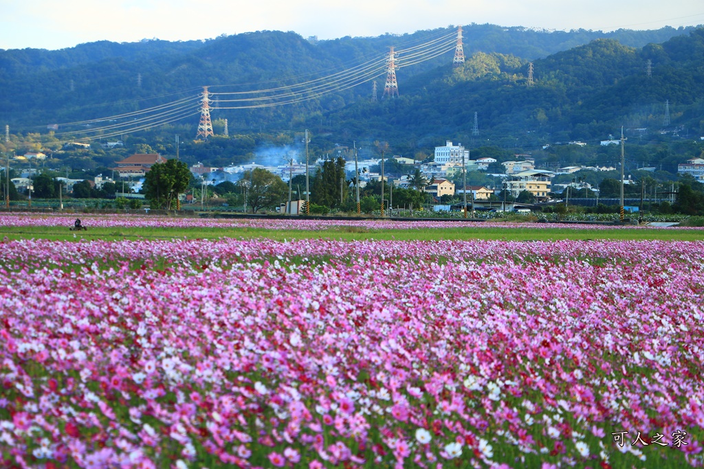 2018田中稻草人,彰化化田中稻草人,彰化田中景點,田中望高瞭,稻田中、接駁時間地點、稻草人、田中火車站、望高瞭、田中周邊景點、田中美食,稻草人藝術節