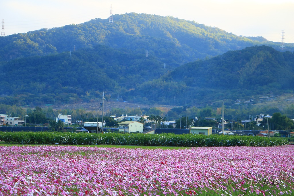 2018田中稻草人,彰化化田中稻草人,彰化田中景點,田中望高瞭,稻田中、接駁時間地點、稻草人、田中火車站、望高瞭、田中周邊景點、田中美食,稻草人藝術節