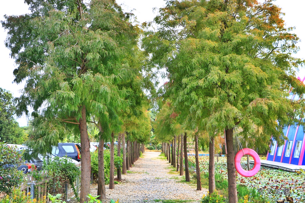 古坑珍粉紅城堡．水漾森林敎堂,雲林新景點