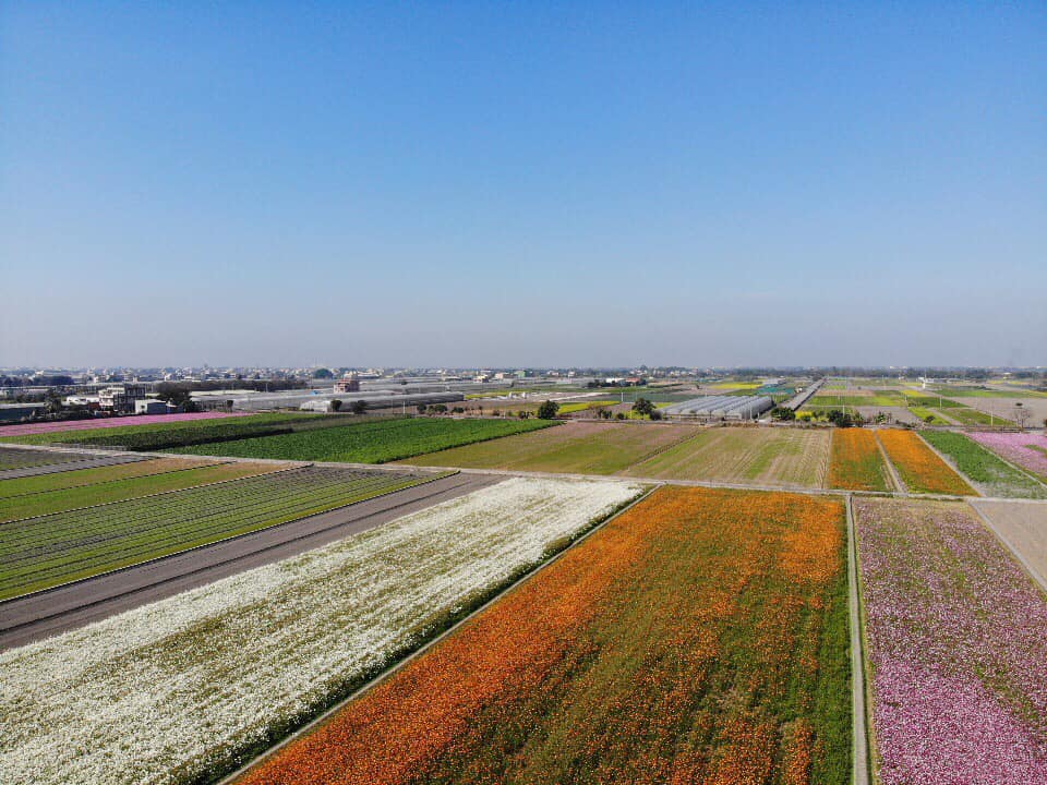 2019莿桐孩沙里花海季,雲林莿桐花海