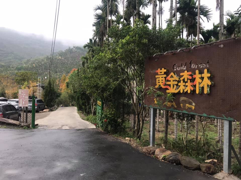 南投國姓露營區,露營玩水、玩沙,露營賞梅，採果樂,黃金森林露營區