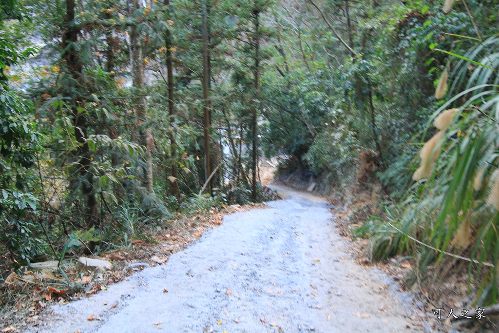 南投水源吊橋,南投雙龍吊橋