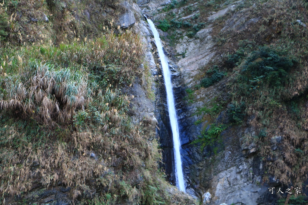 南投水源吊橋,南投雙龍吊橋