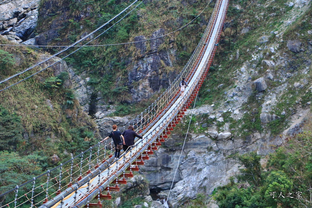 南投水源吊橋,南投雙龍吊橋