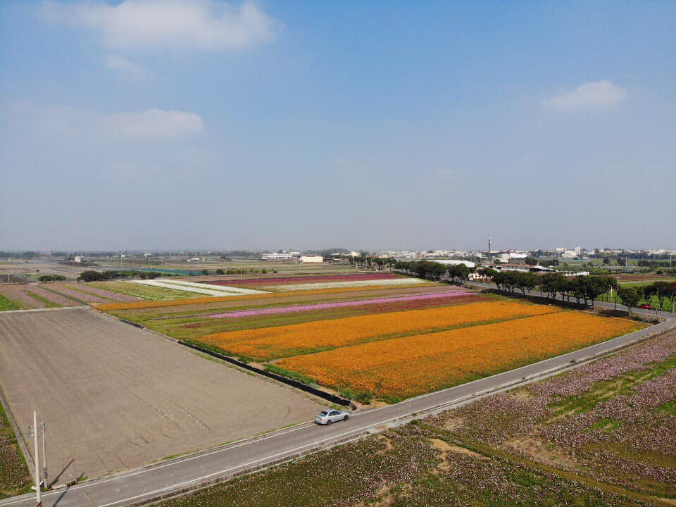 2019莿桐孩沙里花海季,雲林莿桐花海