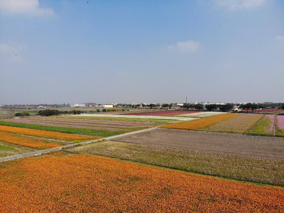 2019莿桐孩沙里花海季,雲林莿桐花海