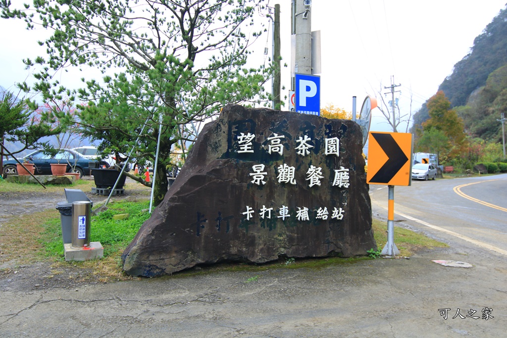 2甲地山櫻花,新中橫116K,望高茶園景觀餐廳,草坪頭櫻花,賞雲海