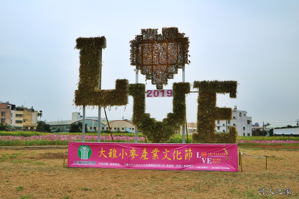 2019台中大雅小麥文化節,大雅區員林里寶興宮,情訂麥鄉、儂情久久,秀山路麥田秘境