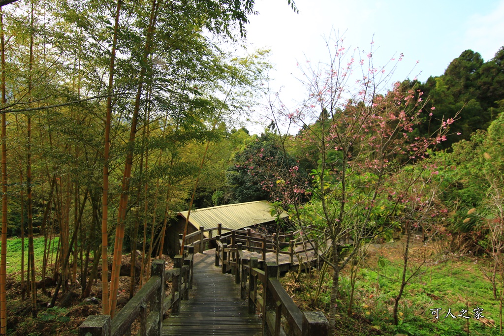 嘉義奮起湖,奮起湖一日遊,奮起湖檜木甜甜圈