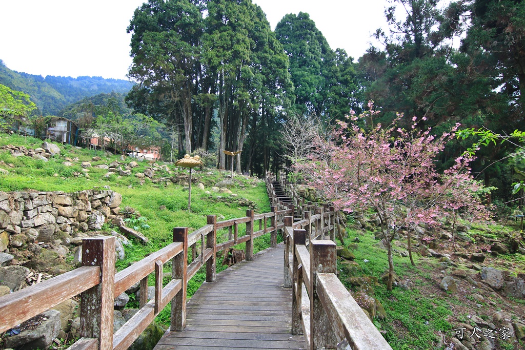 嘉義奮起湖,奮起湖一日遊,奮起湖檜木甜甜圈