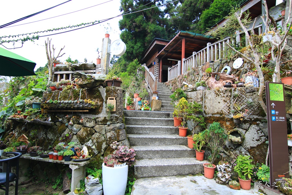 嘉義奮起湖,奮起湖一日遊,奮起湖檜木甜甜圈