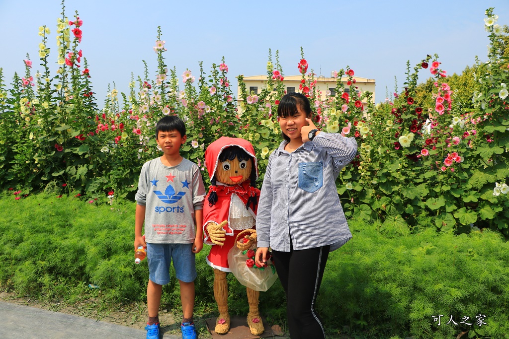 2019南區公園蜀葵花,2019員林蜀葵花,員林蜀葵花3/31開幕