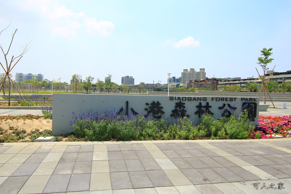 小港免費看飛機,小港森林公園,小港看飛機景點,親子遊樂設施