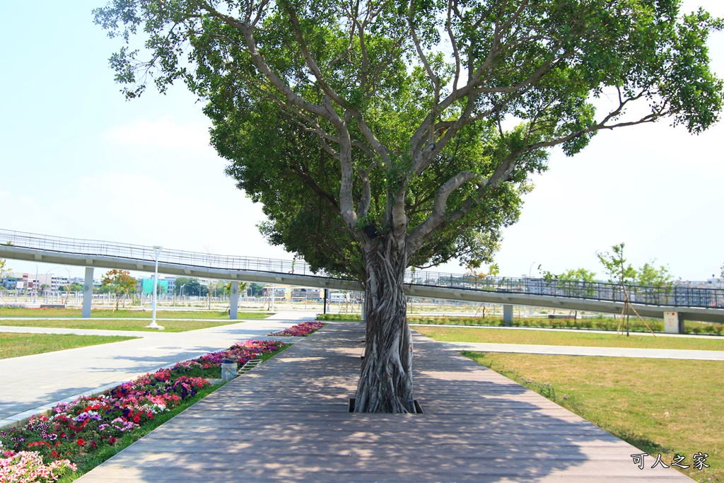 小港免費看飛機,小港森林公園,小港看飛機景點,親子遊樂設施