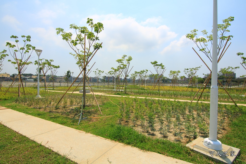 小港免費看飛機,小港森林公園,小港看飛機景點,親子遊樂設施