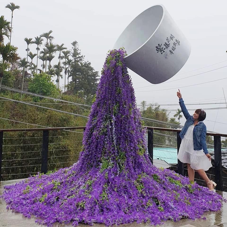 2019瑞里紫藤花季,瑞里小公主咖啡,瑞里紫藤花季