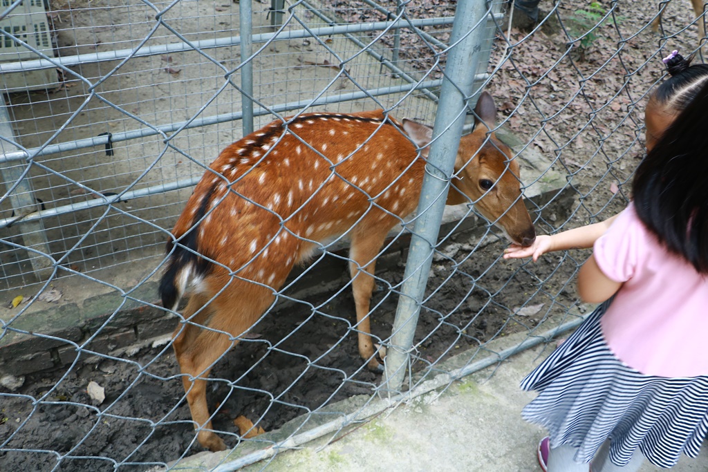 樹谷農場