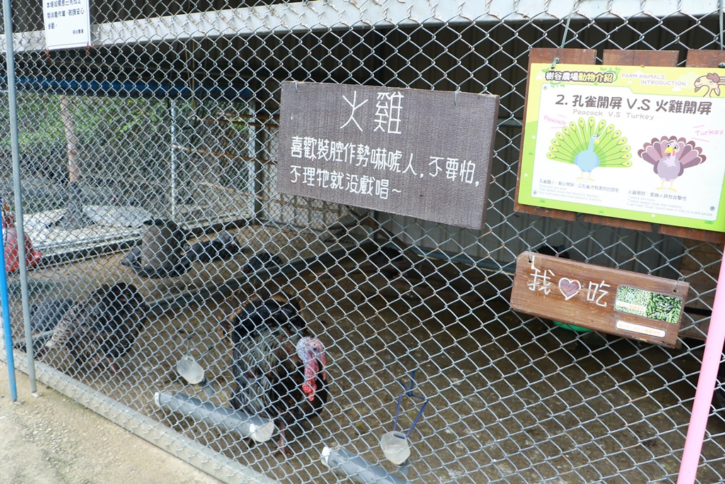 樹谷農場