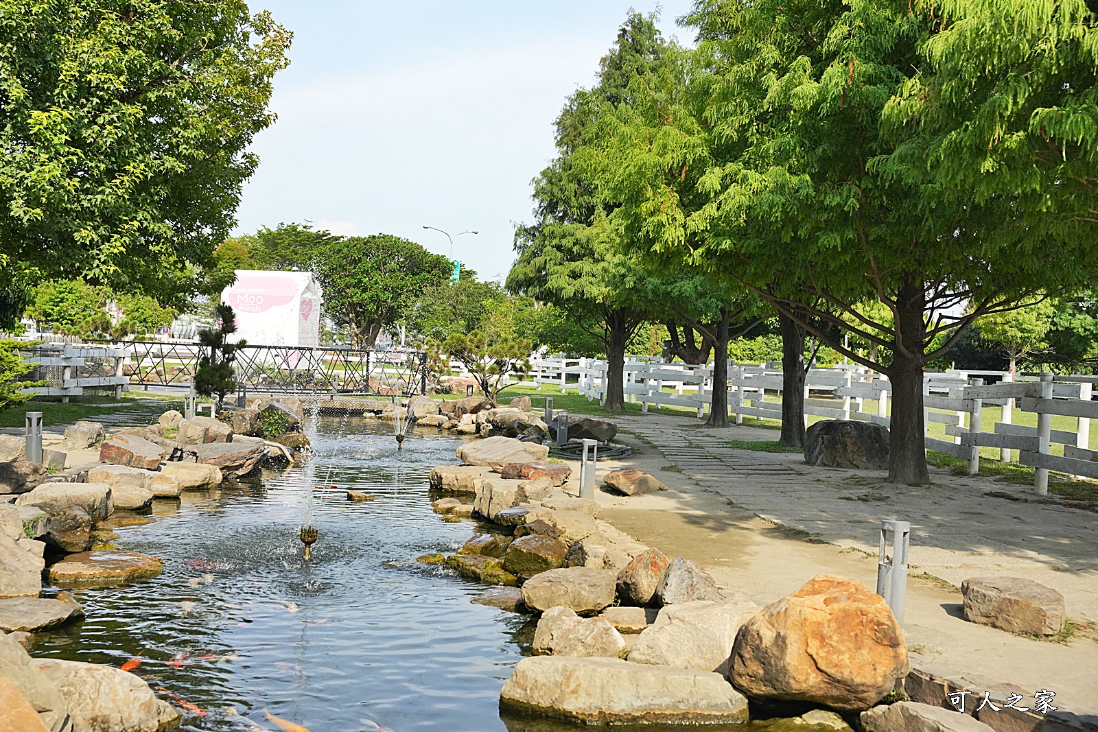 一日遊,大沙坑,奶酪,布丁好吃,新景點,餵牛