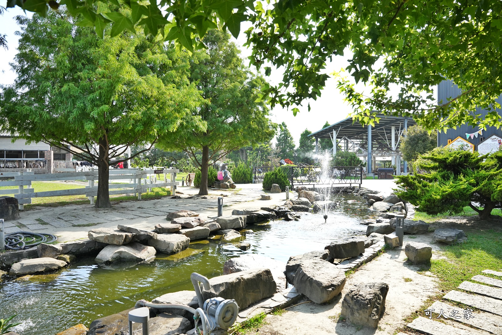 一日遊,大沙坑,奶酪,布丁好吃,新景點,餵牛