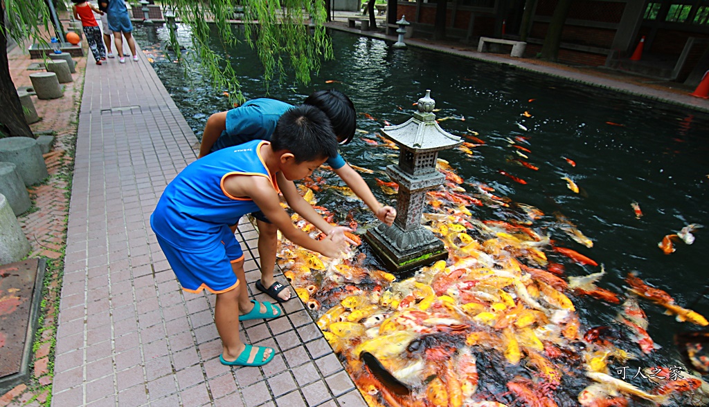 東南中學,雲林文昌國小