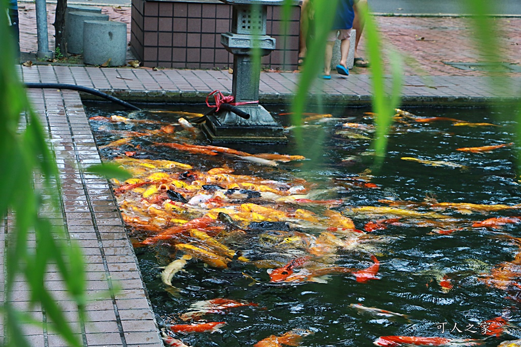 東南中學,雲林文昌國小