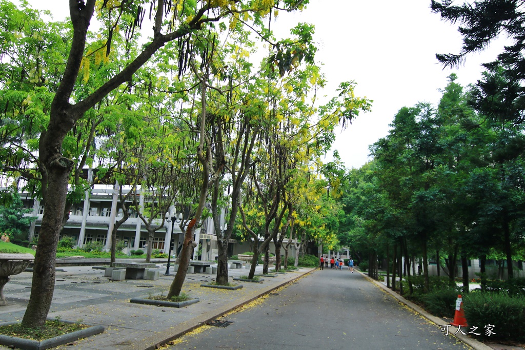 東南中學,雲林文昌國小