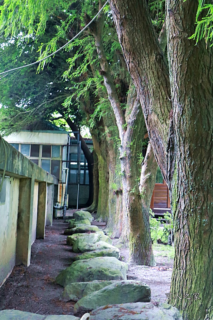 東南中學,雲林文昌國小